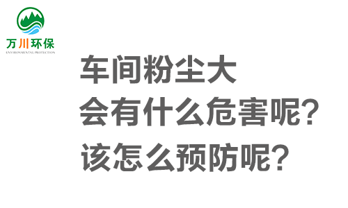 車間粉塵大會(huì)有什么危害呢？該怎么預(yù)防呢？